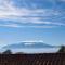 Villa With Olive Grove In Abruzzo-27