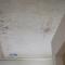 Gioberti Art Suite-28
