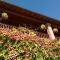 Bed and Breakfast Posserle-52