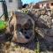 Pasigà- Jacuzi privata vicino Olbia-4