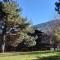 TERRY LODGE-Luxury Apartment-central ski area-0