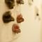 Parthenope Suite-29