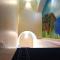 Sa Trunfa Rooms-64