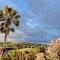 Fico d'India Country View-22