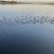 Appartamento a 10 minuti dal mare-22