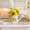 Cozy House in Cannigione-9