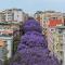 Center Suite Cagliari-29