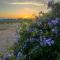 Anima SARDINIA-19