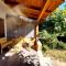 Case 800 mt dal mare - Casa Flora e Casa Aurora-49