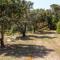 Villa Teresa Simius-43