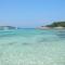 Il riccio di mare-6