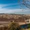 Sunflower-34