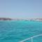 Il riccio di mare-9