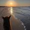 Sole & Mare, Platamona-1