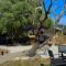 Shin Escape Apartments Budoni-32