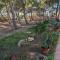 CountryLoft-LeMareediCarloforte-41