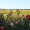 Agriturismo Poggio Al Tufo-70