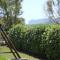 B&B Casa Vacanze La Mimosa Alghero-15