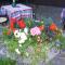 Hotel Gasthof WASTL-48