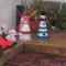 Geko's House-5