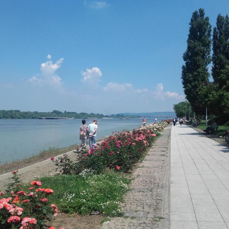 Danube Apartment - Apartman sa Balkonom - 42