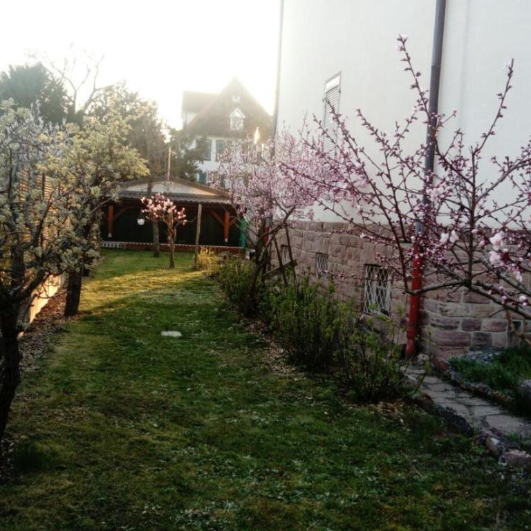 Gîte "La Baloise" - Apartment - Ground Floor - 19