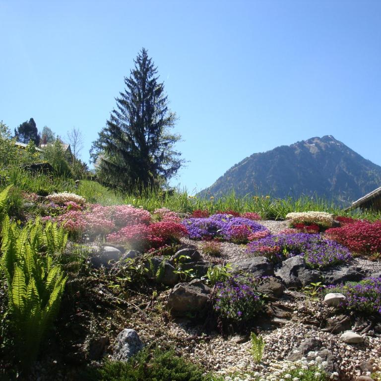 Haus Bergheimat - Apartment mit Gartenblick - 13