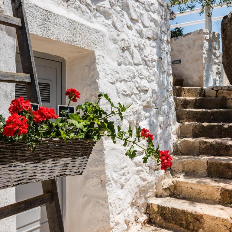 Trullo Picchiagiuda - Monolocale - 3