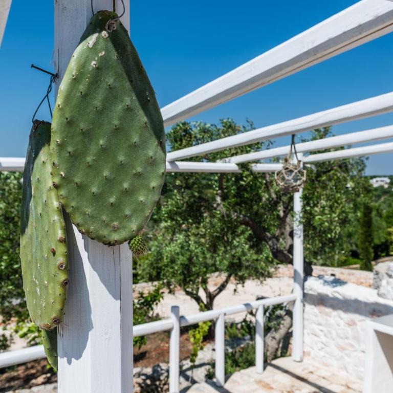 Trullo Picchiagiuda - Five-Bedroom Trullo - 10