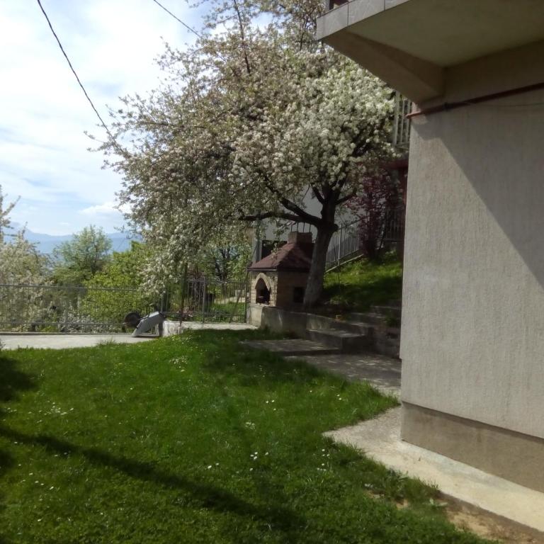 Green Garden Sarajevo - Apartman sa Pogledom na Planinu - 1