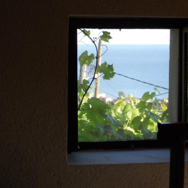 Apartment Djukovic - Apartment with Sea View - 14