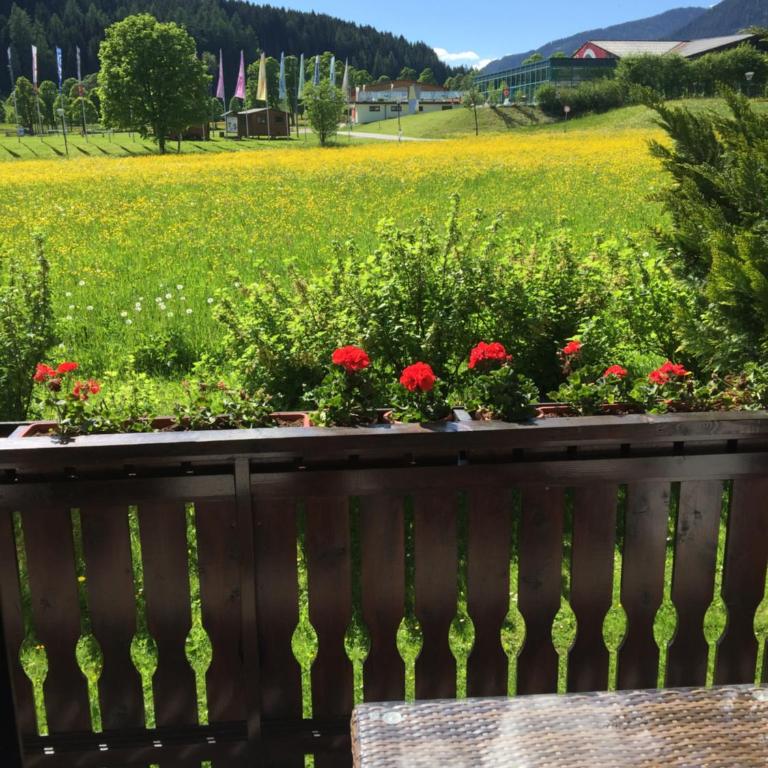 Apartment Ani - Apartment mit Blick auf die Berge - 18