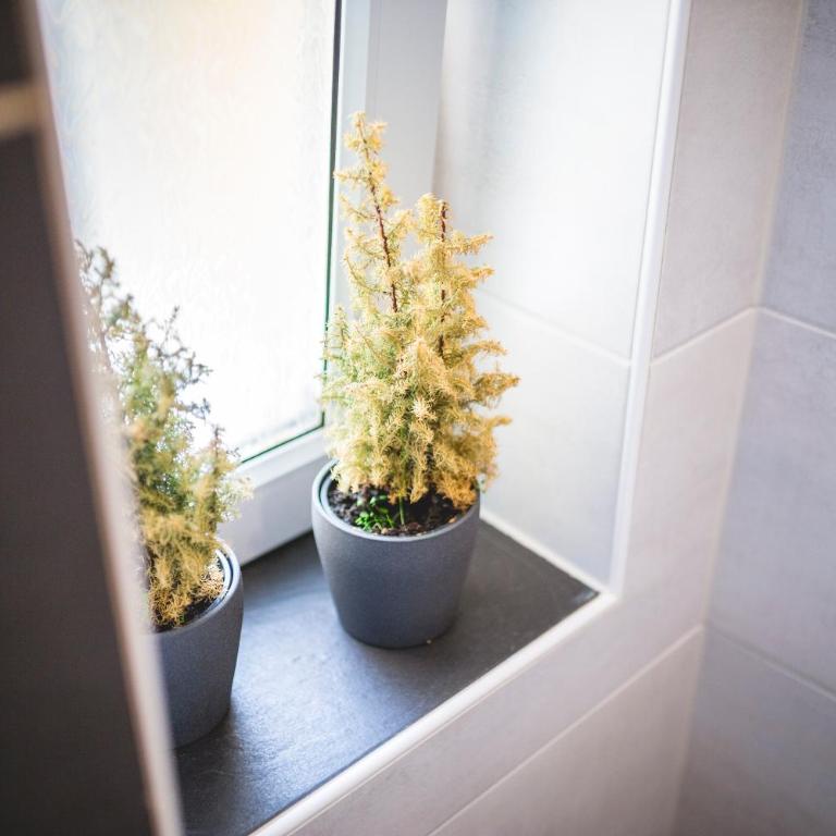 Ferienwohnung Alpi - Two-Bedroom Apartment with Garden & Mountain View - 28