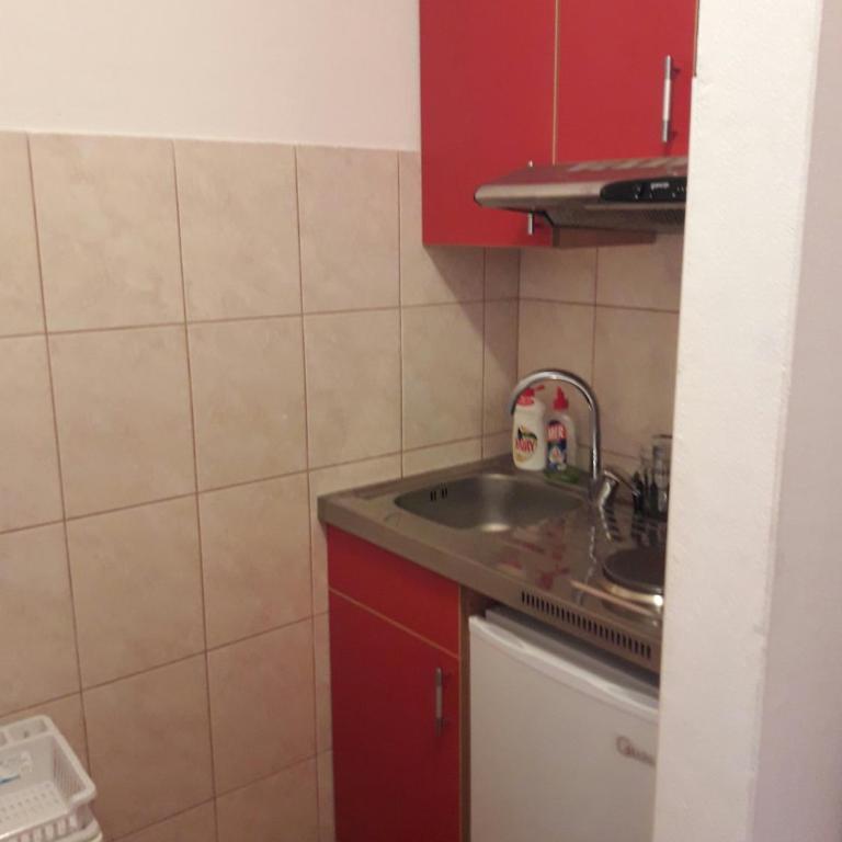 Apartmani Stanojevic - Studio - 16
