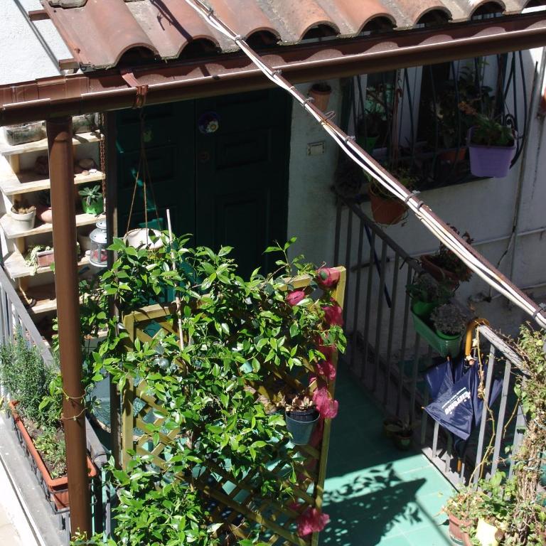 Terrazza dei Principi - Camera Familiare con Bagno Privato - 5