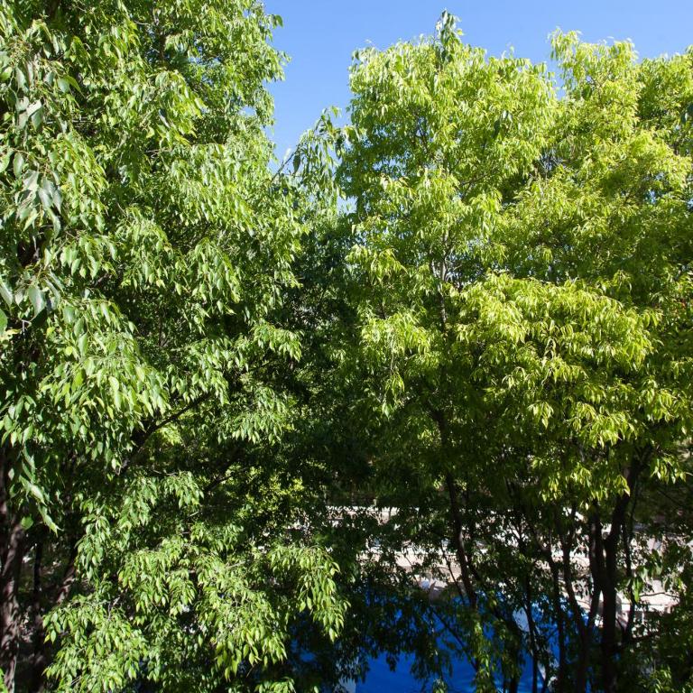 Superbe appartement loft vieil Antibes - Appartement 1 Chambre - 33