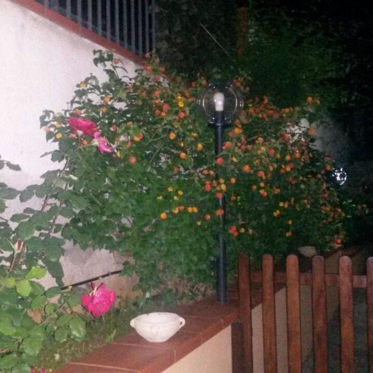 Villa Sunshine - Casa - 32