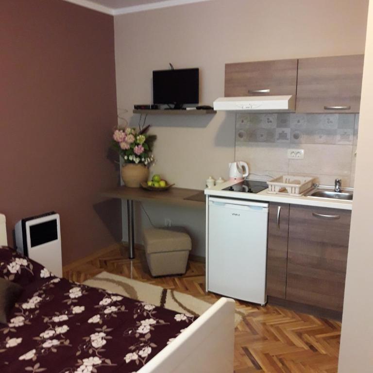 Apartments Ant - Apartman sa Tušem - 14