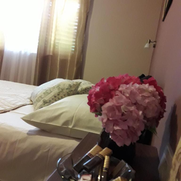 Apartments Ant - Apartman - 1