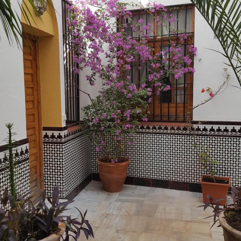 Casa Típica Cordobesa - Apartamento de 2 dormitorios - 19