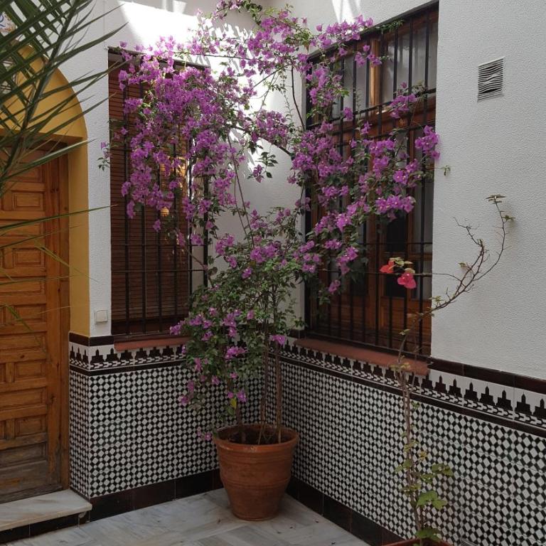 Casa Típica Cordobesa - Apartamento de 2 dormitorios - 20