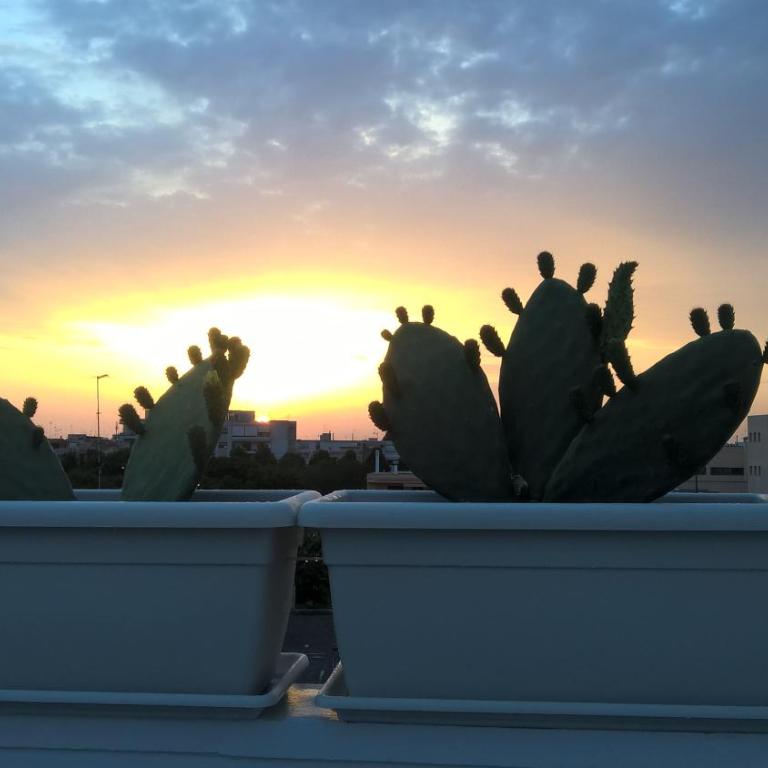 Innsud - Suite con Terrazza - 22