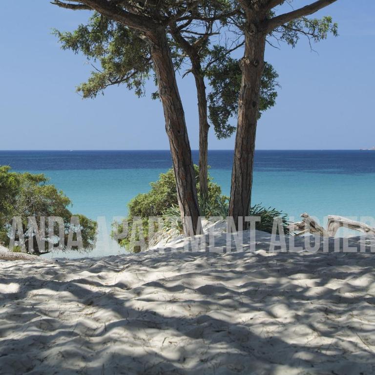 Iolanda Apartment 30m from Seaside - Two-Bedroom Apartment - 12