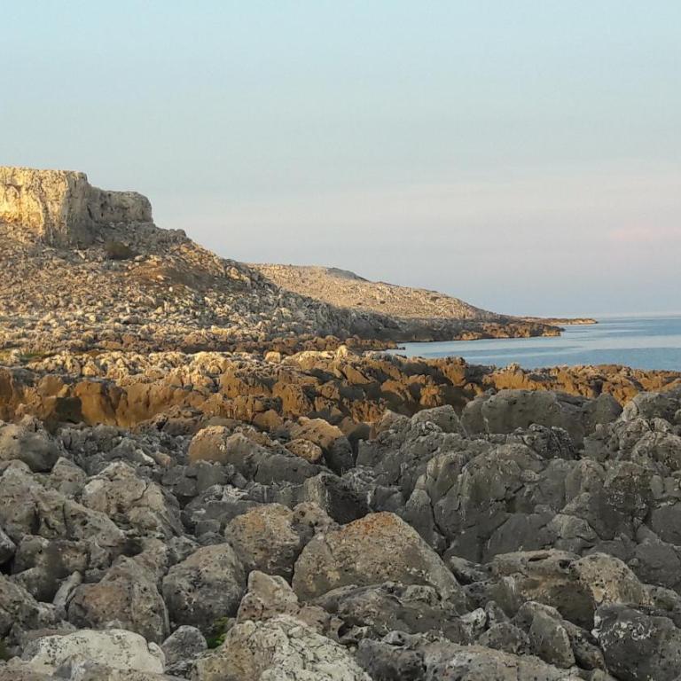 la casa nell'acqua - Appartamento con Vista Mare - 11