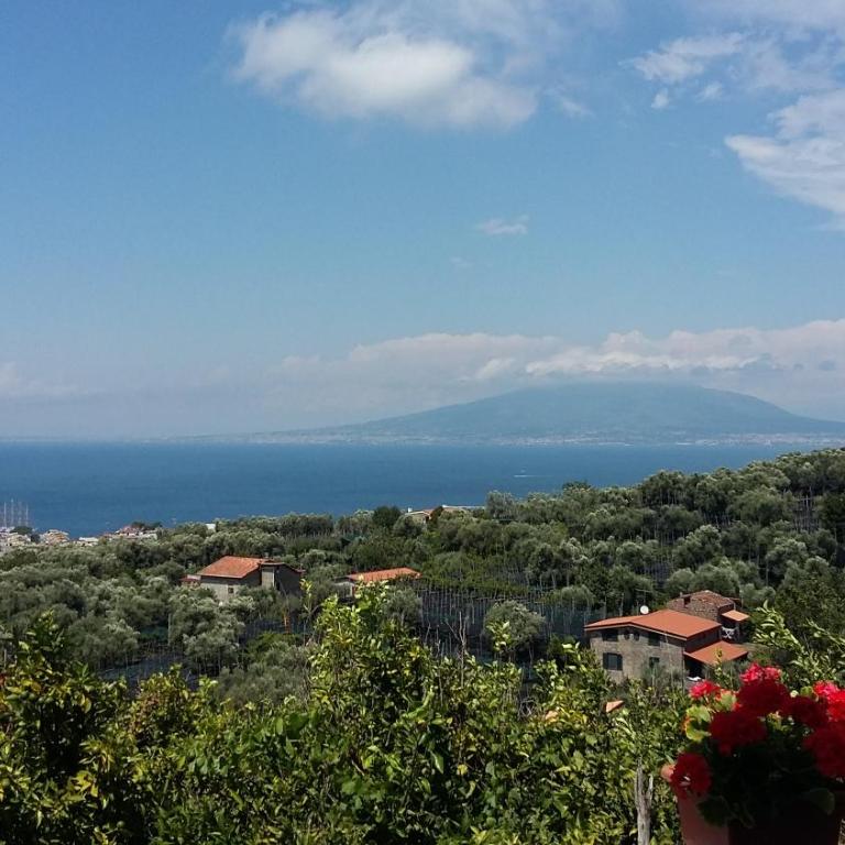 Villa Beatrice - Appartamento Standard - 25
