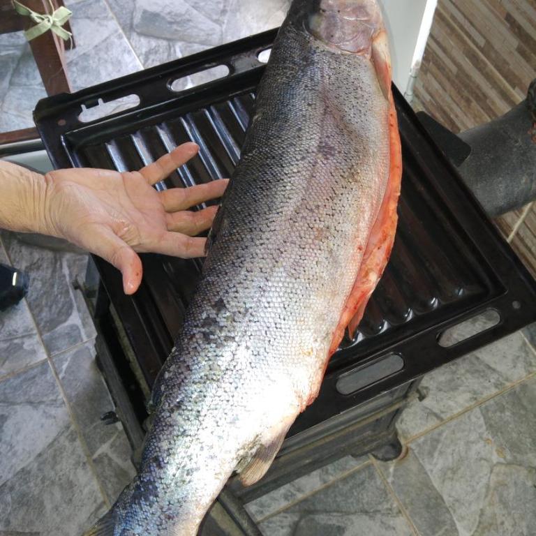 Casa En Gregores - One-Bedroom House - 21