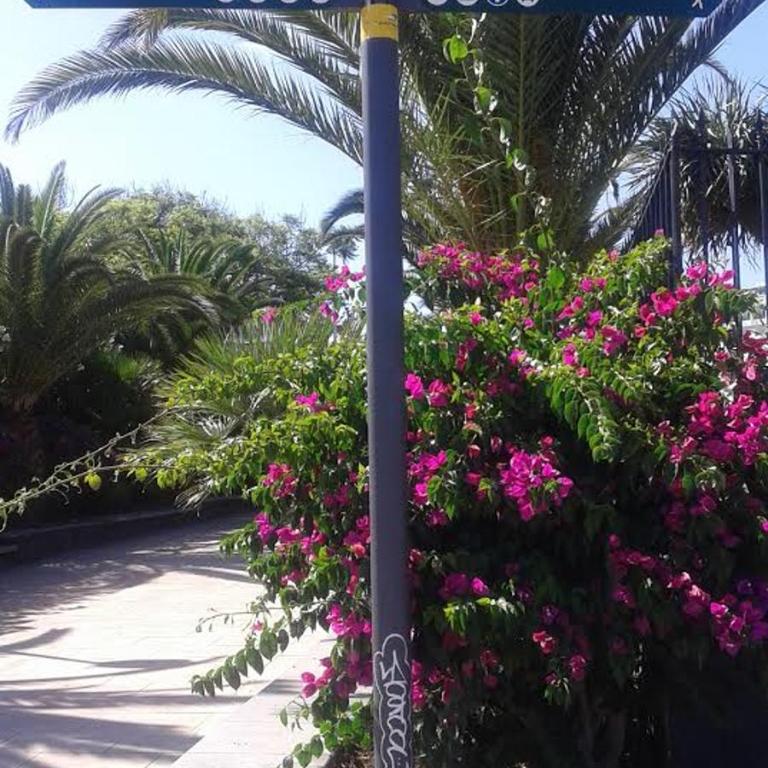 Bungalow Main Street Playa del Ingles - Apartamento Deluxe - 60