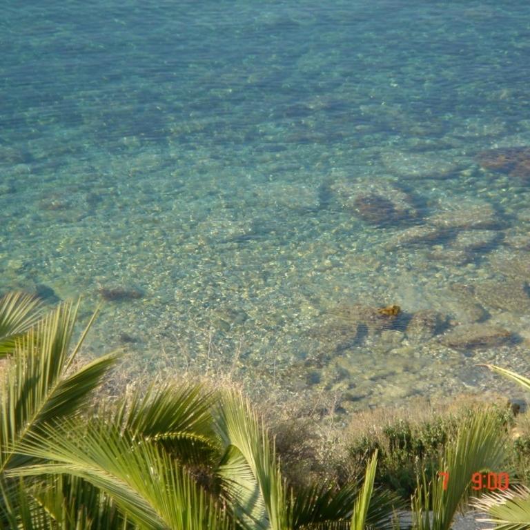 Villa Nieves - Casa - 22