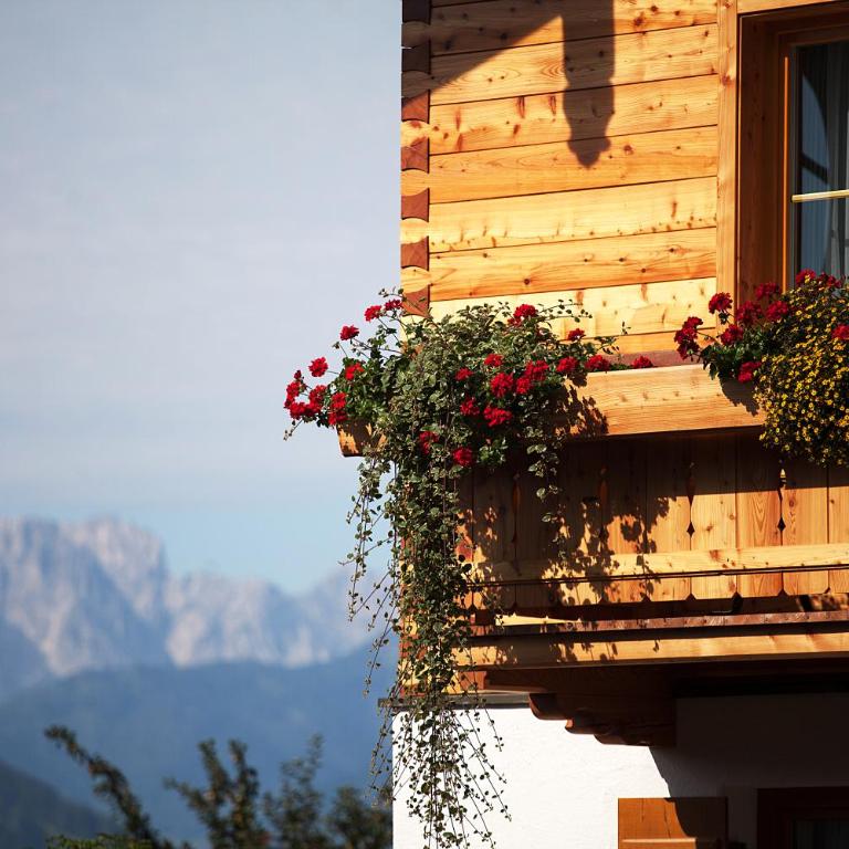 Theresenhof - Single Room with Balcony - no pets allowed - 1