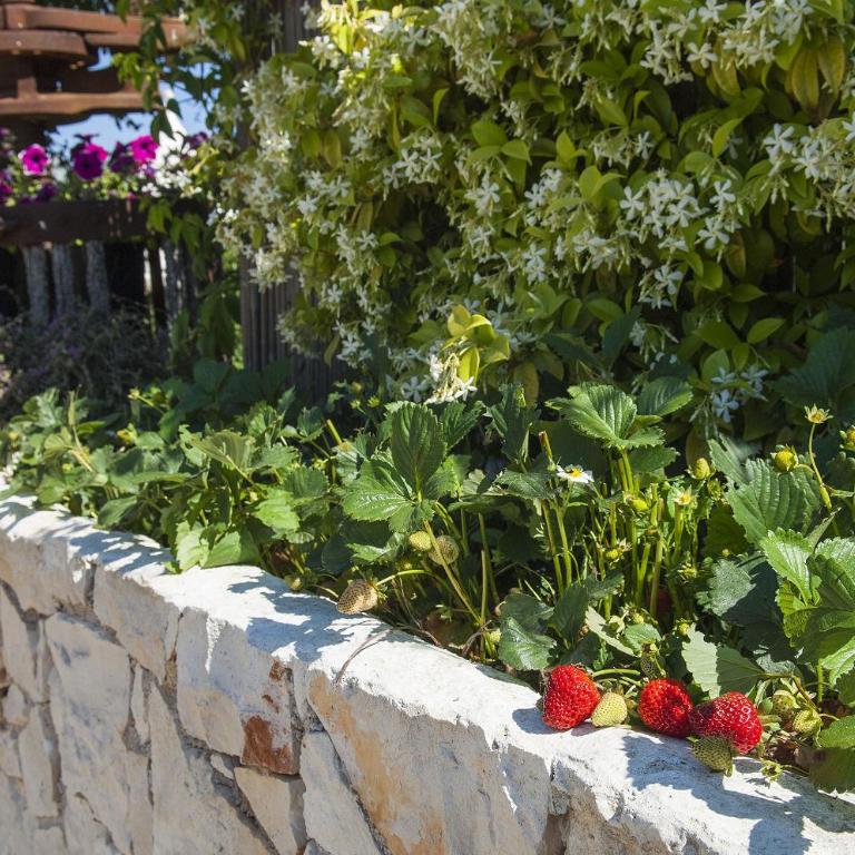 Trulli Valle d'Itria - Trulli dell'ulivo - Two-Bedroom House - 41